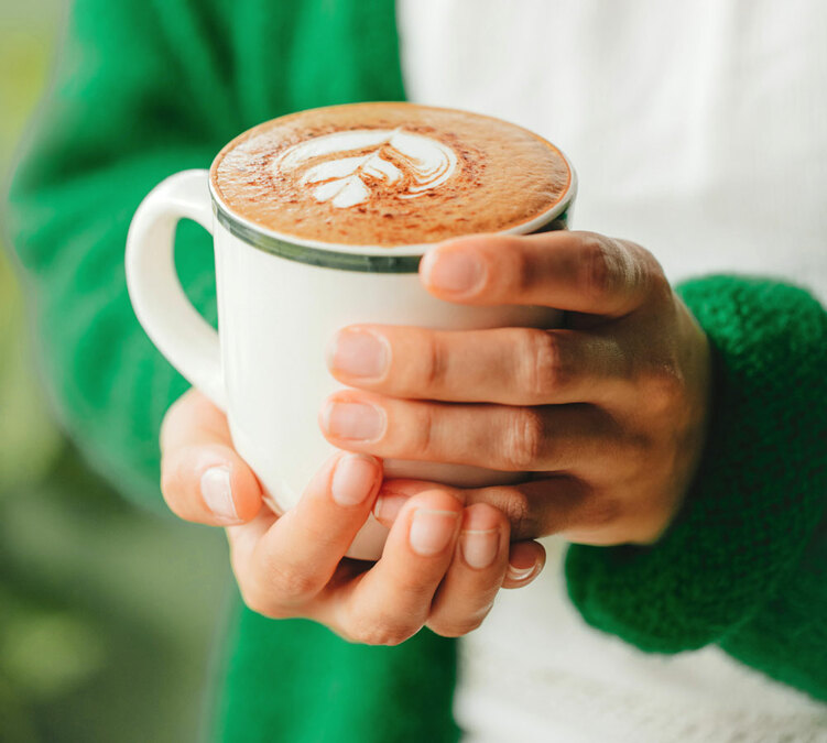 cafe en grain green lion coffee le melange des andes bio