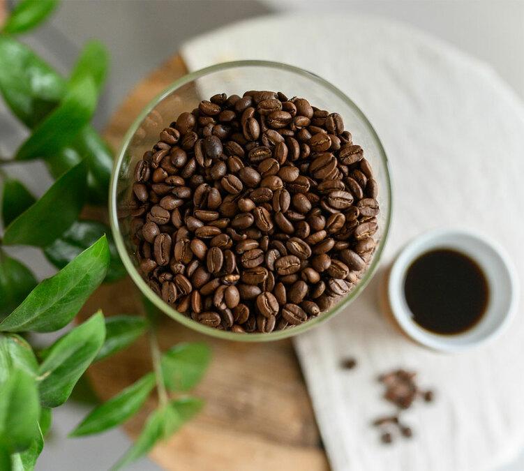 caf&eacute; en grain terramoka