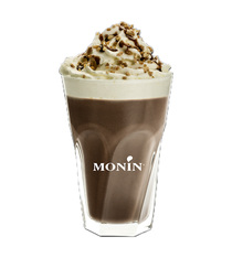 monin sans sucre