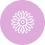 Floreale